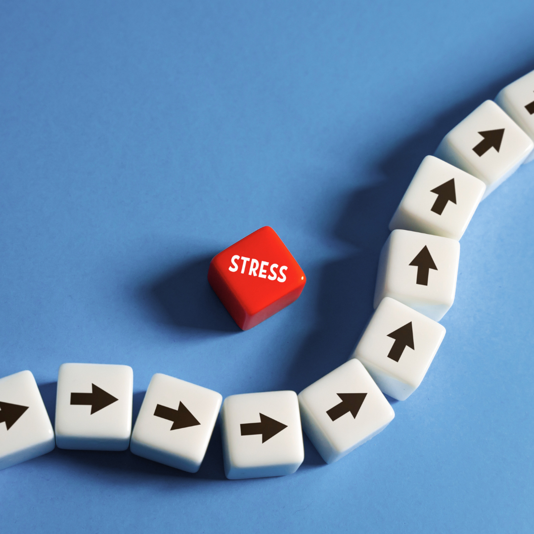 Read more about the article The Reality of Navigating Adulthood